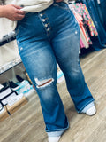 Plus Size Mid Rise Button Down Flare Risen Jeans